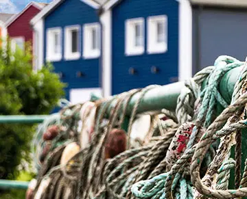 Helgoland 1