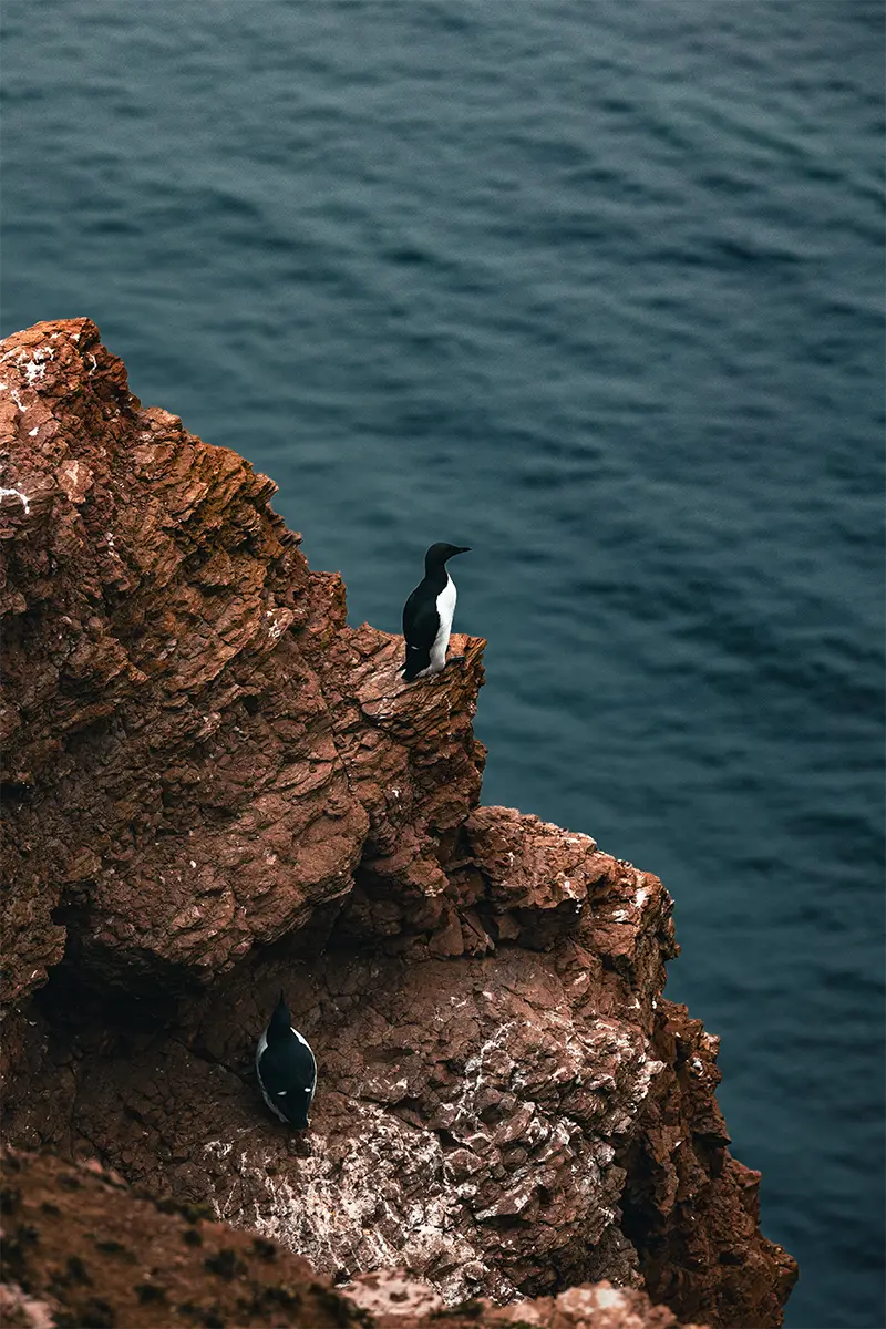 Helgoland – Blick über die Insel